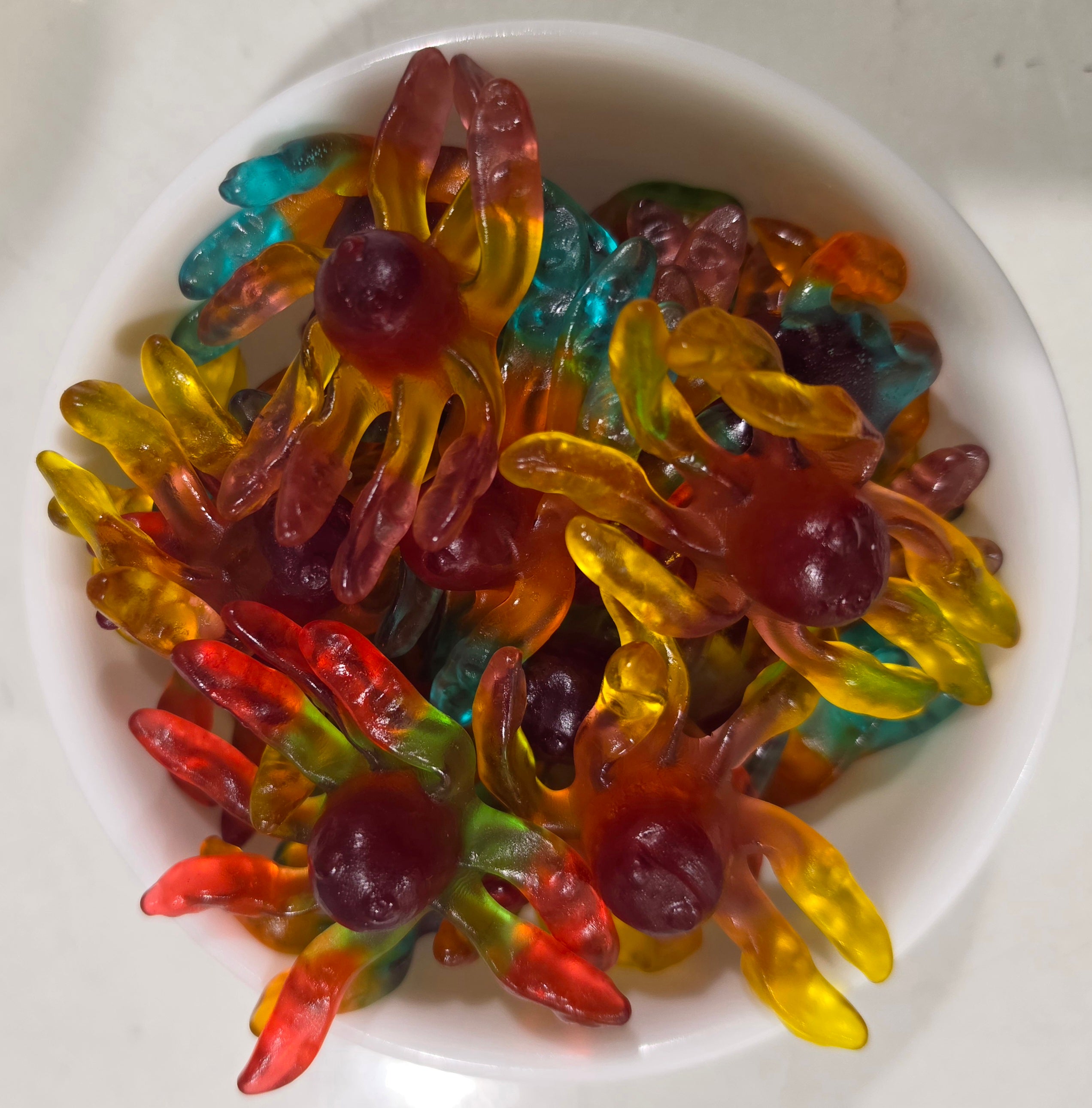 Gummi Octopus (GF)
